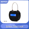 Smart Time Lock-YD-172